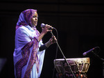 Aziza Brahim artist photo