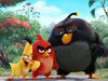 The Angry Birds Movie