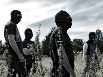 Dragged Into Sunlight artist photo