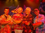 UK Beach Boys artist photo