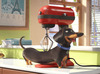 The Secret Life Of Pets