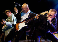 Paul Lamb And The Kingsnakes artist photo