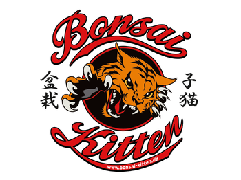 Bonsai Kitten artist photo