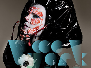 Björk artist photo