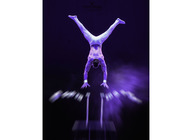 Gerry Cottle's WOW - A Circus Like No Other artist photo