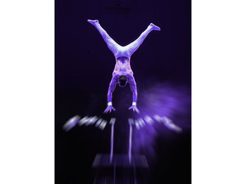 Gerry Cottle's WOW - A Circus Like No Other artist photo