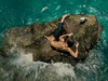 The Shallows