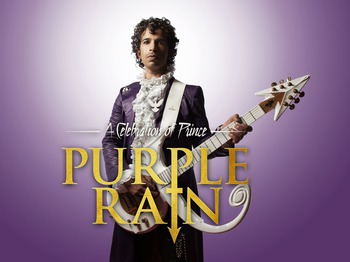 Purple Rain artist photo