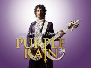Picture for The Ultimate Prince Weekender
