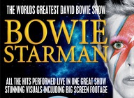 Bowie Starman - The World's Greatest David Bowie Show artist photo