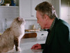 Nine Lives