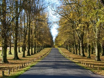 Clumber Park venue photo