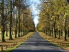 Clumber Park photo