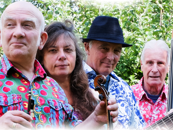 FiddleBop! artist photo