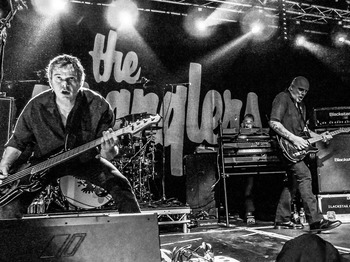 The Stranglers artist photo