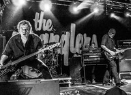 The Stranglers artist photo