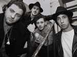 The Wholls artist photo