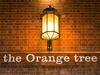The Orange Tree Derby photo