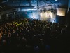The Welly Club photo