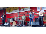 The Red Hot Pokers artist photo
