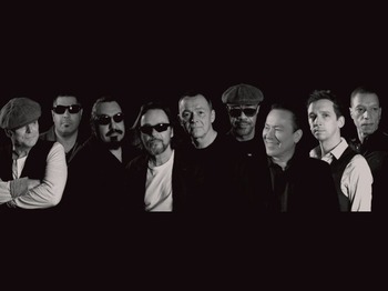 UB40 artist photo