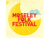 Moseley Folk Festival 2017 added Seth Lakeman to the roster