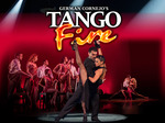 Tango Fire artist photo