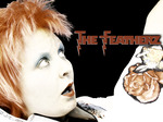 The Featherz artist photo
