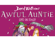 Awful Auntie - Live On Stage (Touring) artist photo