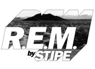 R.E.M. by Stipe - The Definitive Tribute artist photo