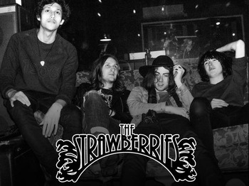 The Strawberries artist photo