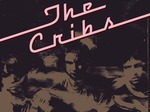 The Cribs artist photo