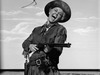 Calamity Jane (1953)