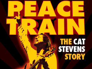 Peace Train - The Cat Stevens Story artist photo