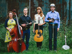 Foghorn Stringband artist photo