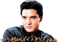 Elvis In Concert - Live On Screen artist photo