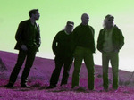 The Bevis Frond artist photo