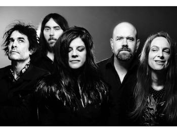 Boss Hog artist photo