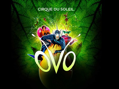 Cirque Du Soleil artist photo