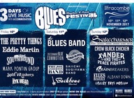 Ilfracombe Blues, Rhythm and Rock Festival 4 artist photo