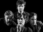 Mountain Goats artist photo