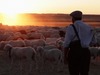The Shepherd (El Pastor)