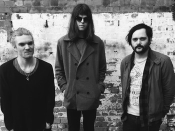Tigercub + The Semper Teens + Animal Language + The Flash Gordons picture