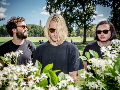 Dinosaur Pile-Up artist photo