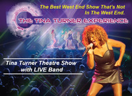 Simply The Best - The Tina Turner Experience artist photo