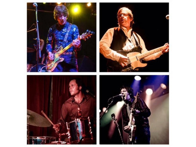 Flamin' Groovies artist photo