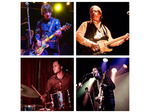 Flamin' Groovies artist photo