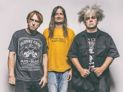 (the) Melvins artist photo