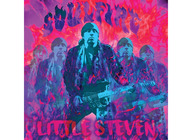 Little Steven & The Disciples Of Soul artist photo