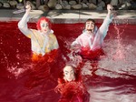 Avey Tare artist photo